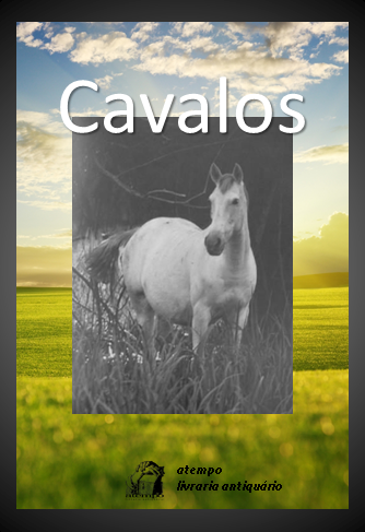 Lista Cavalos Listas Tematicas Cavalos