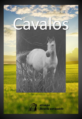 Listas Tematicas Cavalos